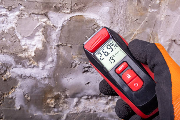 Best Mold Testing  in Cavalier, ND