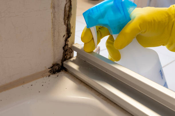 Crawl Space Mold Removal in Cavalier, ND