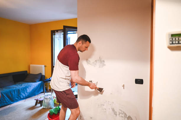 Best Office Mold Removal Services  in Cavalier, ND